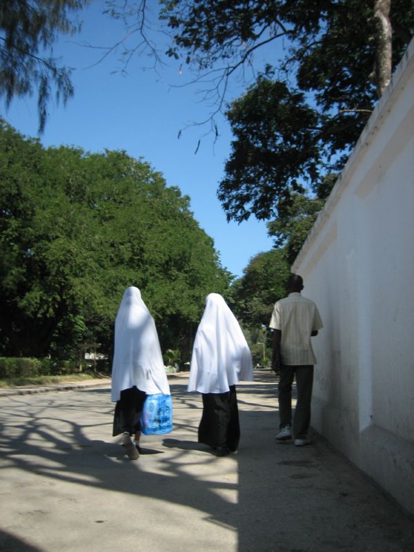 Zansi (83)